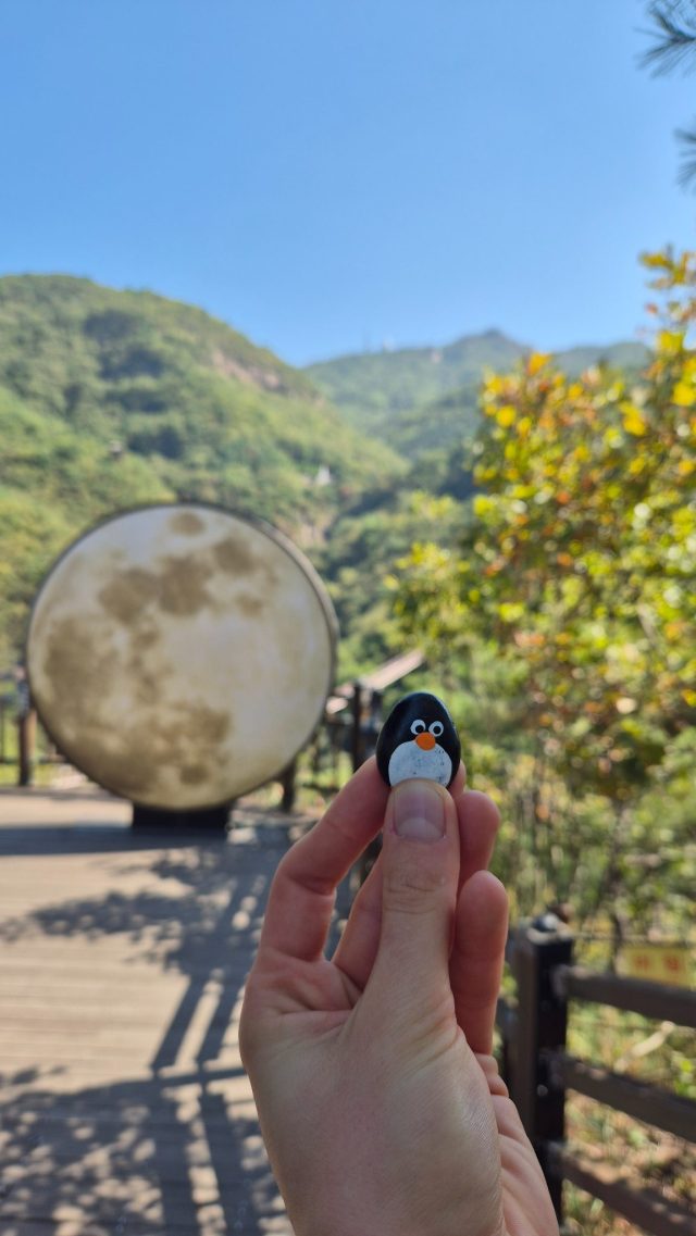 Hand-painted penguin stone #815 hidden at Gamaksan Suspension Bridge, Paku-si, South Korea