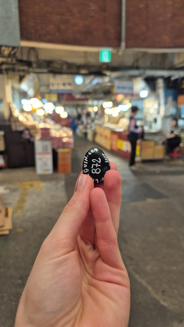 Hand-painted penguin stone #872 hidden at Geangjang Market, Seoul, South Korea (photo 2 of 4)