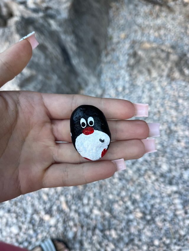 Hand-painted penguin stone #961 hidden at Tree Trunk, Sa Calobra, Spain