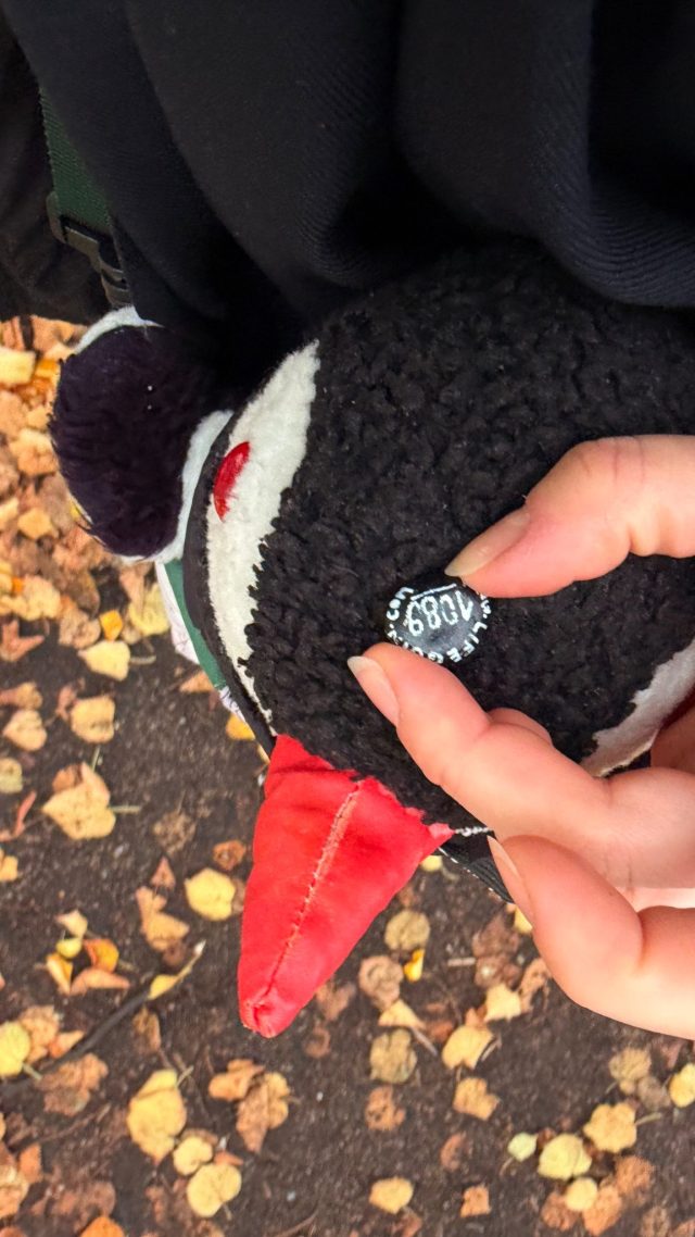 Hand-painted penguin stone #1089 hidden at Snail close to Railway Station, Oslo, Norway (photo 2 of 5)