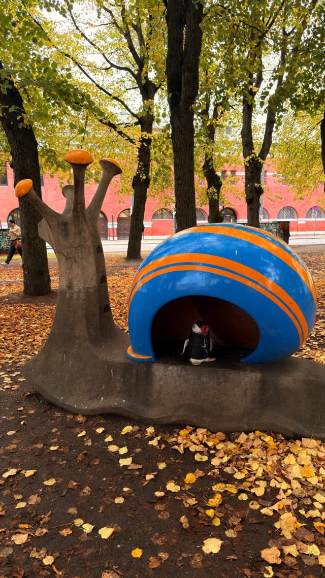 Hand-painted penguin stone #1089 hidden at Snail close to Railway Station, Oslo, Norway (photo 5 of 5)