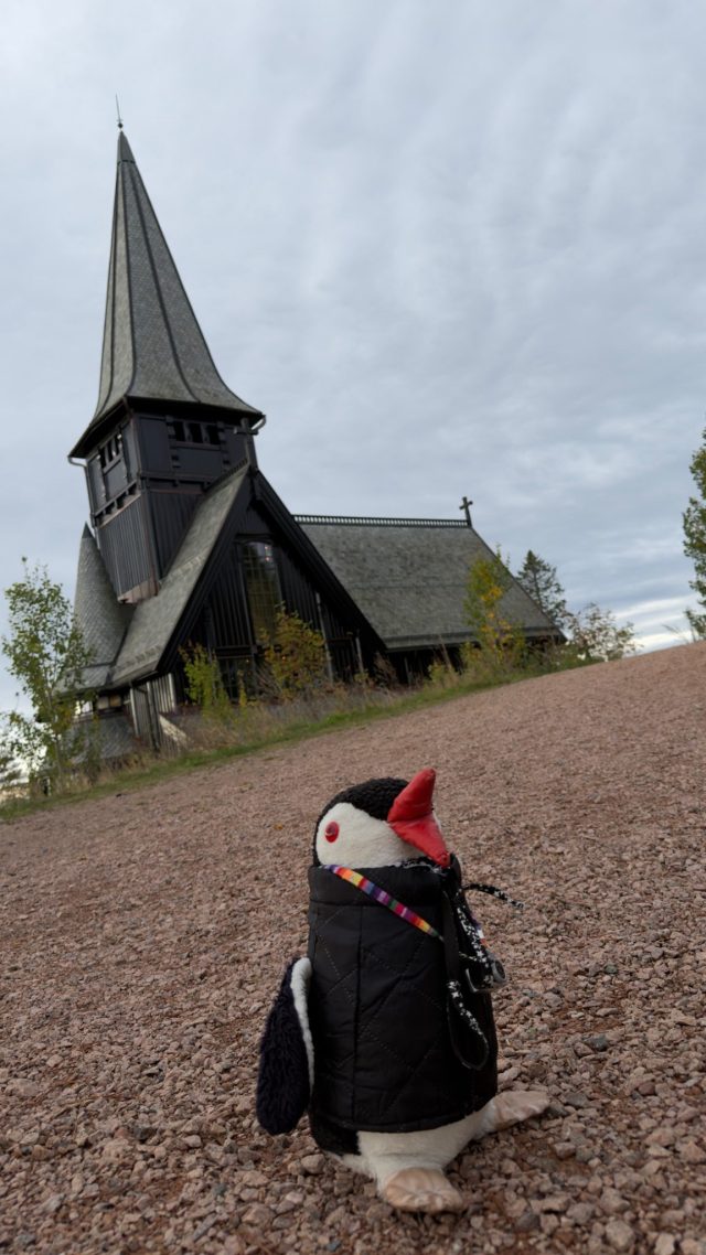 Hand-painted penguin stone #1238 hidden at Holmenkollen Chapel, Oslo, Norway (photo 5 of 5)
