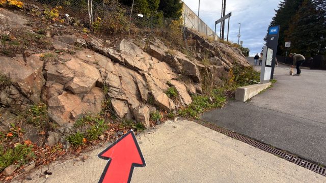 Hand-painted penguin stone #1351 hidden at Holmenkollen Metro Station, Oslo, Norway (photo 2 of 5)
