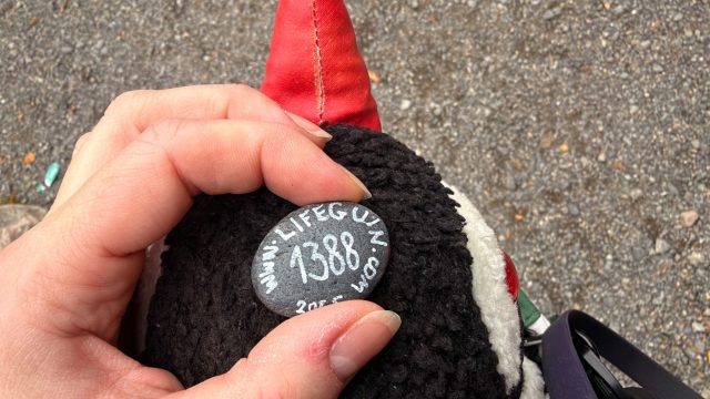 Hand-painted penguin stone #1388 hidden at Ekeberg Scenic Viewpoint, Oslo, Norway (photo 3 of 5)