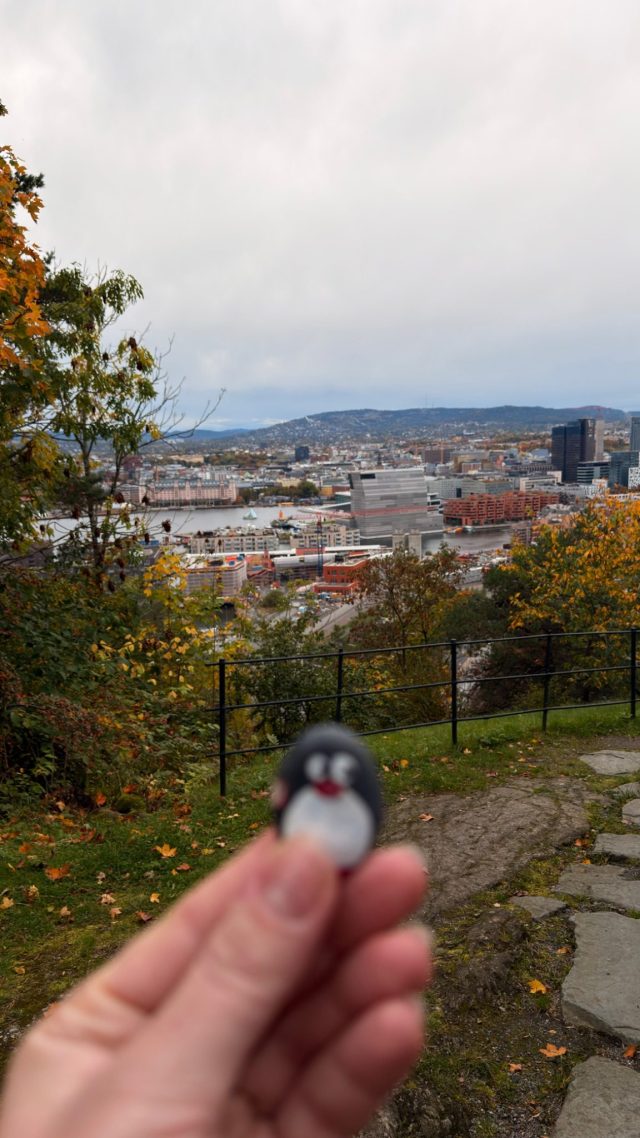 Hand-painted penguin stone #1388 hidden at Ekeberg Scenic Viewpoint, Oslo, Norway (photo 4 of 5)