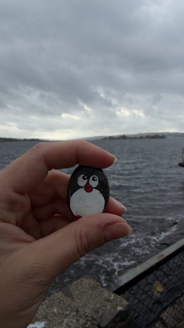 Hand-painted penguin stone #1394 hidden at Fram, Oslo, Norway (photo 2 of 5)