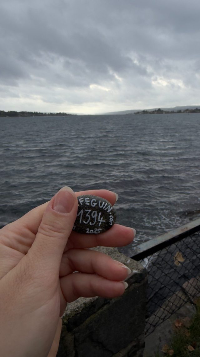 Hand-painted penguin stone #1394 hidden at Fram, Oslo, Norway (photo 3 of 5)