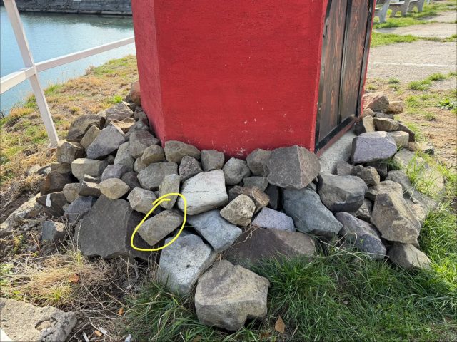 Hand-painted penguin stone #1408 hidden at Lodny majak - Lighthouse, Zemplinska Sirava, Slovakia (photo 4 of 5)