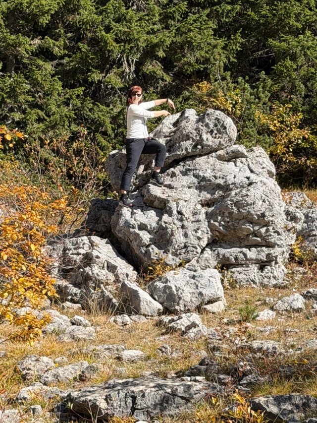 Hand-painted penguin stone #1423 hidden at Jablan Lake, Durmitor NP, Montenegro (photo 4 of 5)