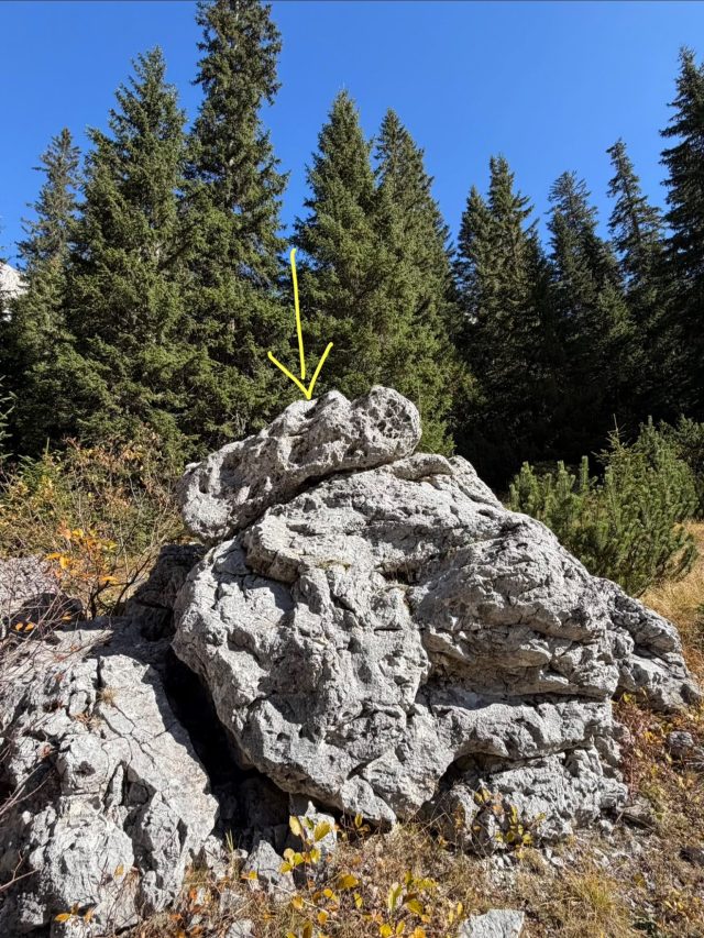 Hand-painted penguin stone #1423 hidden at Jablan Lake, Durmitor NP, Montenegro (photo 5 of 5)