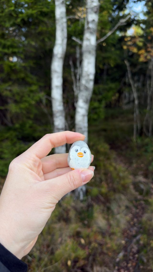 Hand-painted penguin stone #1432 hidden at Birch Tree, Oslo, Norway (photo 2 of 5)