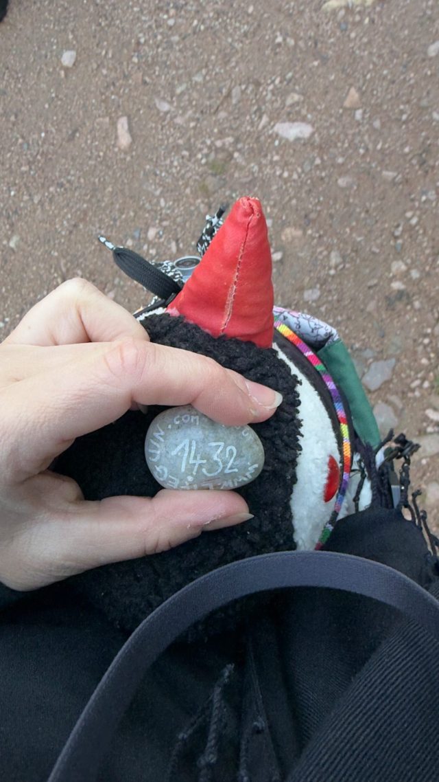 Hand-painted penguin stone #1432 hidden at Birch Tree, Oslo, Norway (photo 3 of 5)