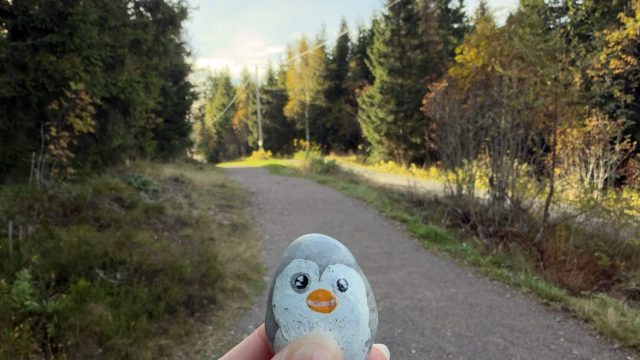 Hand-painted penguin stone #1432 hidden at Birch Tree, Oslo, Norway