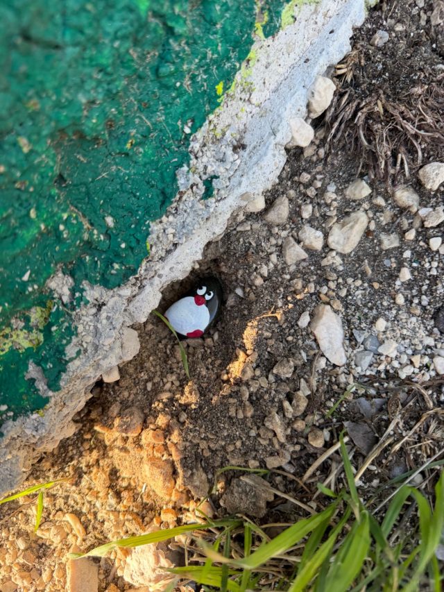 Hand-painted penguin stone #1448 hidden at Viewpoint on the Kotor Bay and Our Lady of the Rocks, Kostanjica, Montenegro (photo 3 of 5)