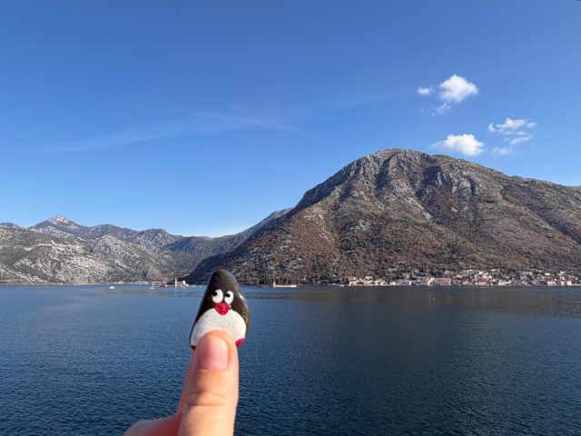 Hand-painted penguin stone #1448 hidden at Viewpoint on the Kotor Bay and Our Lady of the Rocks, Kostanjica, Montenegro