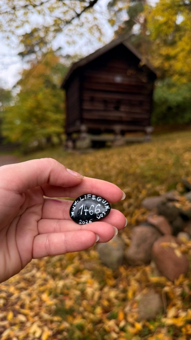 Hand-painted penguin stone #1466 hidden at Tree Trunk at Norwegian Museum of Cultural History, Oslo, Norway (photo 3 of 5)
