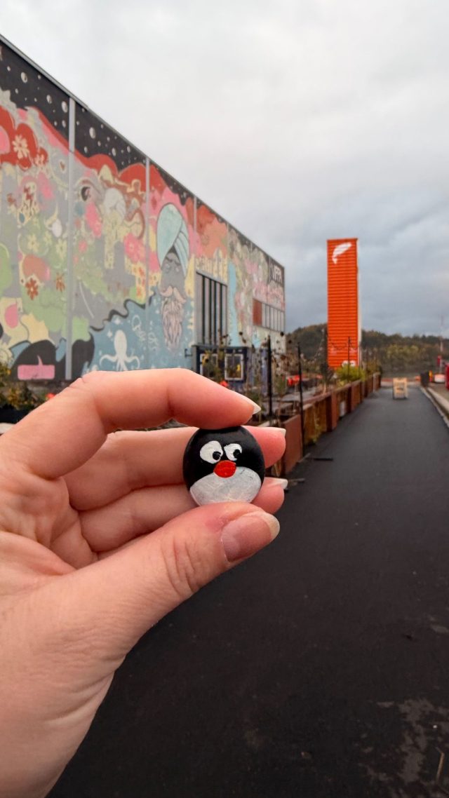 Hand-painted penguin stone #1467 hidden at Vippa, Oslo, Norway (photo 2 of 5)