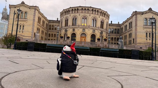 Hand-painted penguin stone #1471 hidden at The Norwegian Parliament, Oslo, Norway (photo 5 of 5)