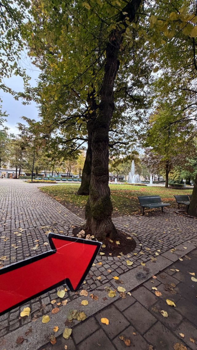 Hand-painted penguin stone #1472 hidden at Rainbow Square Tree Hole, Oslo, Norway (photo 2 of 5)