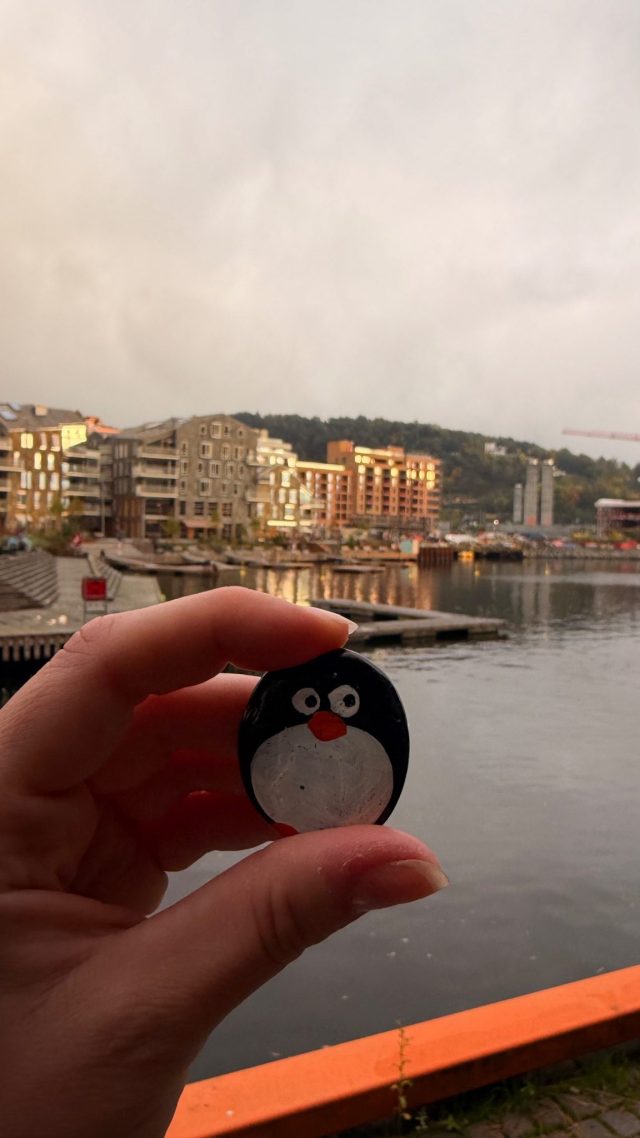 Hand-painted penguin stone #1477 hidden at Close to Oda Krohgs bro, Oslo, Norway (photo 2 of 5)