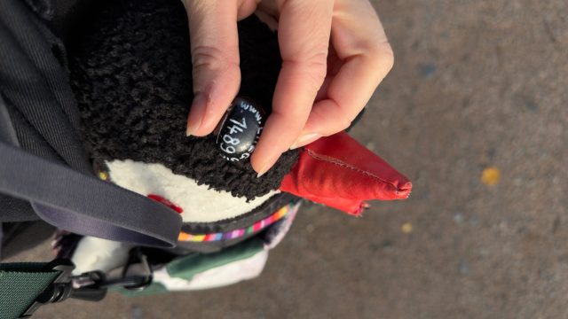 Hand-painted penguin stone #1489 hidden at Rock at Ovresetertjern, Oslo, Norway (photo 2 of 5)