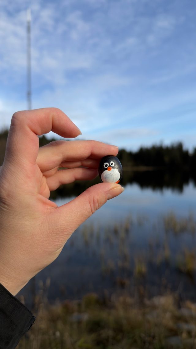 Hand-painted penguin stone #1489 hidden at Rock at Ovresetertjern, Oslo, Norway (photo 3 of 5)