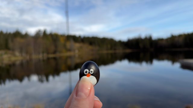 Hand-painted penguin stone #1489 hidden at Rock at Ovresetertjern, Oslo, Norway