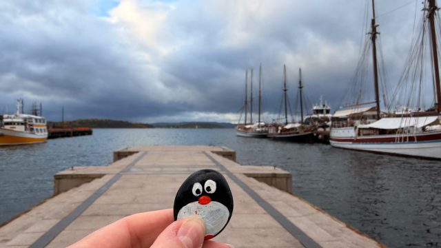 Hand-painted penguin stone #1494 hidden at Oslo City Hall Harbor, Oslo, Norway