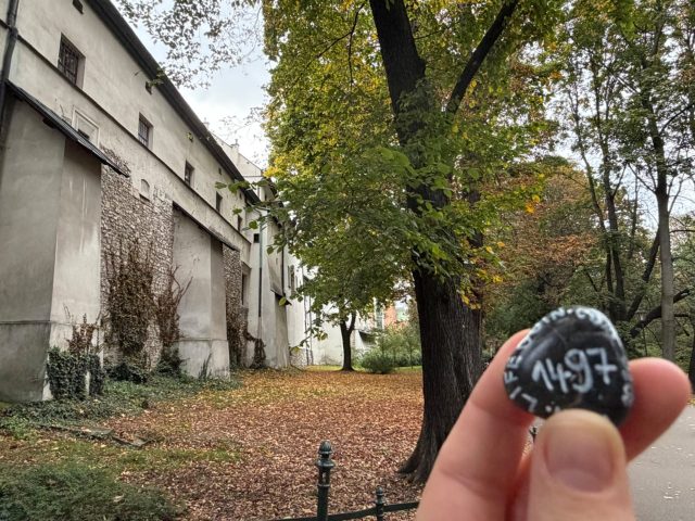 Hand-painted penguin stone #1497 hidden at Planty, Krakow, Poland (photo 2 of 5)