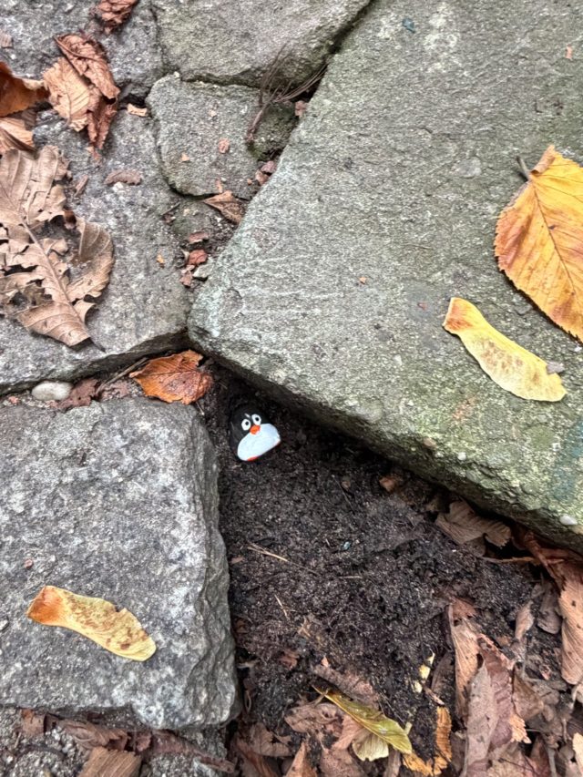 Hand-painted penguin stone #1497 hidden at Planty, Krakow, Poland (photo 3 of 5)