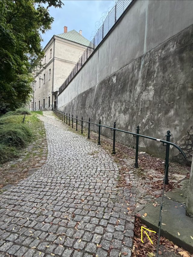 Hand-painted penguin stone #1497 hidden at Planty, Krakow, Poland (photo 4 of 5)