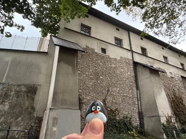 Hand-painted penguin stone #1497 hidden at Planty, Krakow, Poland (photo 5 of 5)