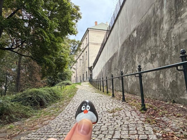 Hand-painted penguin stone #1497 hidden at Planty, Krakow, Poland