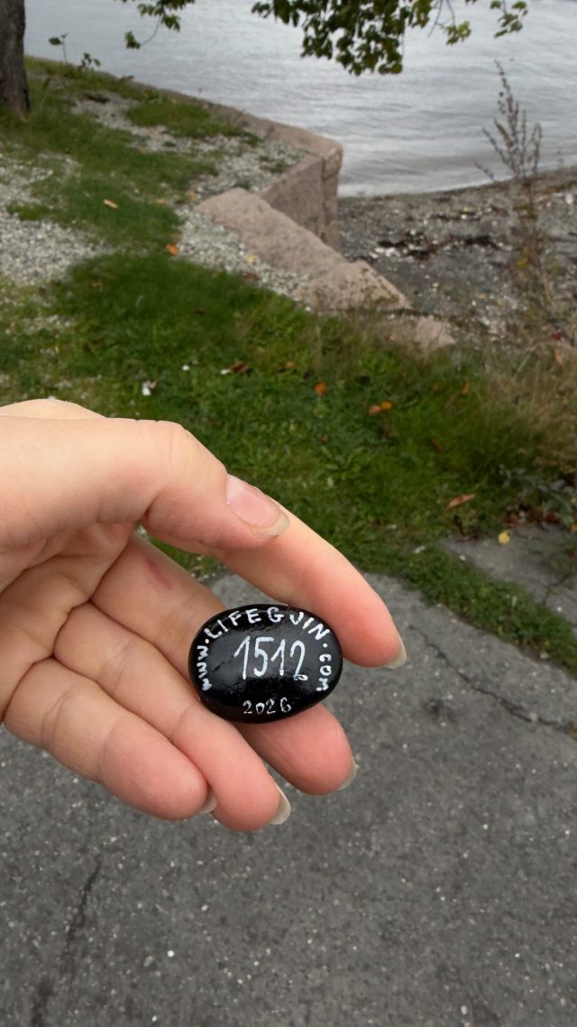 Hand-painted penguin stone #1512 hidden at Stone Wall near Boat Station, Oslo, Norway (photo 3 of 5)