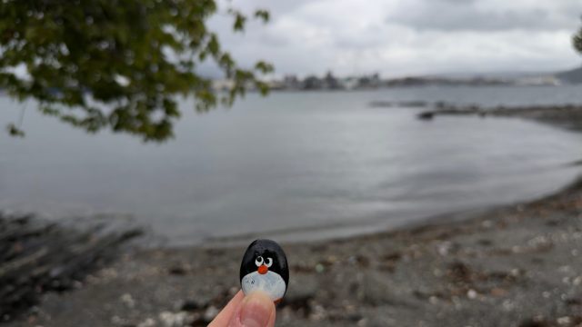 Hand-painted penguin stone #1512 hidden at Stone Wall near Boat Station, Oslo, Norway (photo 4 of 5)