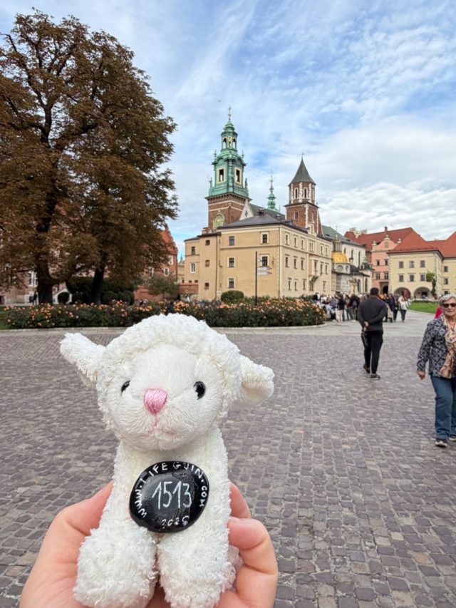 Hand-painted penguin stone #1513 hidden at Katedra Wawelska, Krakow, Poland (photo 2 of 4)