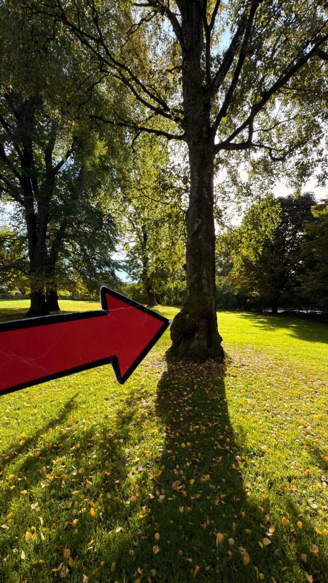 Hand-painted penguin stone #1522 hidden at Tree Near the Royal Palace, Oslo, Norway (photo 2 of 5)