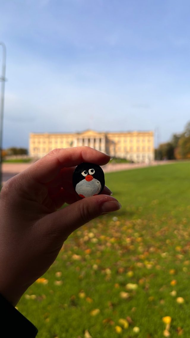 Hand-painted penguin stone #1522 hidden at Tree Near the Royal Palace, Oslo, Norway (photo 4 of 5)