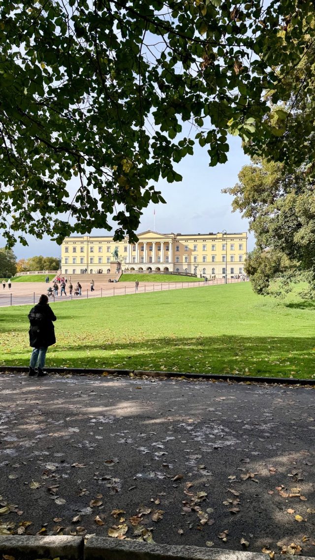 Hand-painted penguin stone #1522 hidden at Tree Near the Royal Palace, Oslo, Norway (photo 5 of 5)