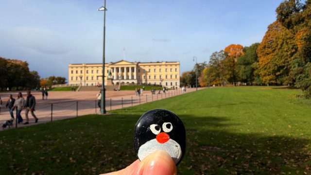 Hand-painted penguin stone #1522 hidden at Tree Near the Royal Palace, Oslo, Norway