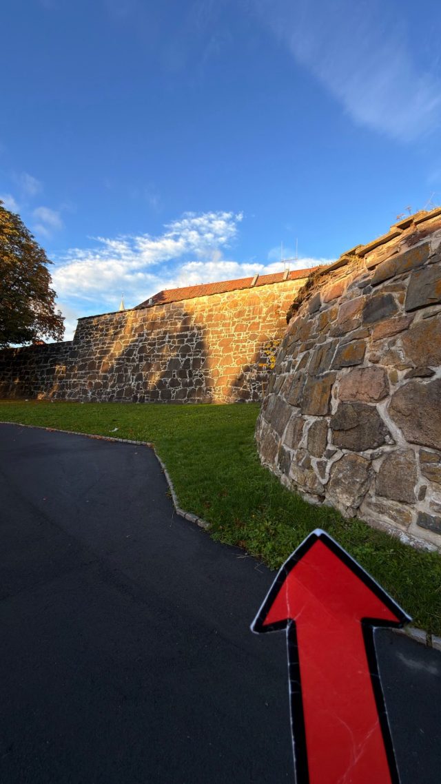 Hand-painted penguin stone #1524 hidden at Akershus Fortress Wall, Oslo, Norway (photo 2 of 5)