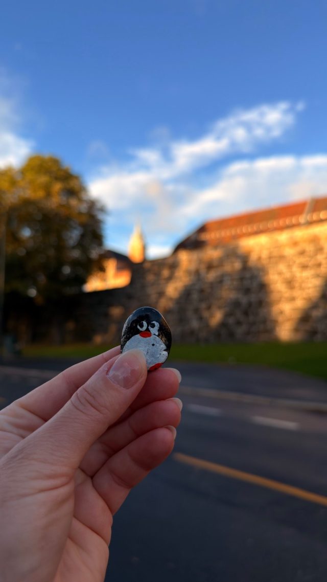 Hand-painted penguin stone #1524 hidden at Akershus Fortress Wall, Oslo, Norway (photo 4 of 5)