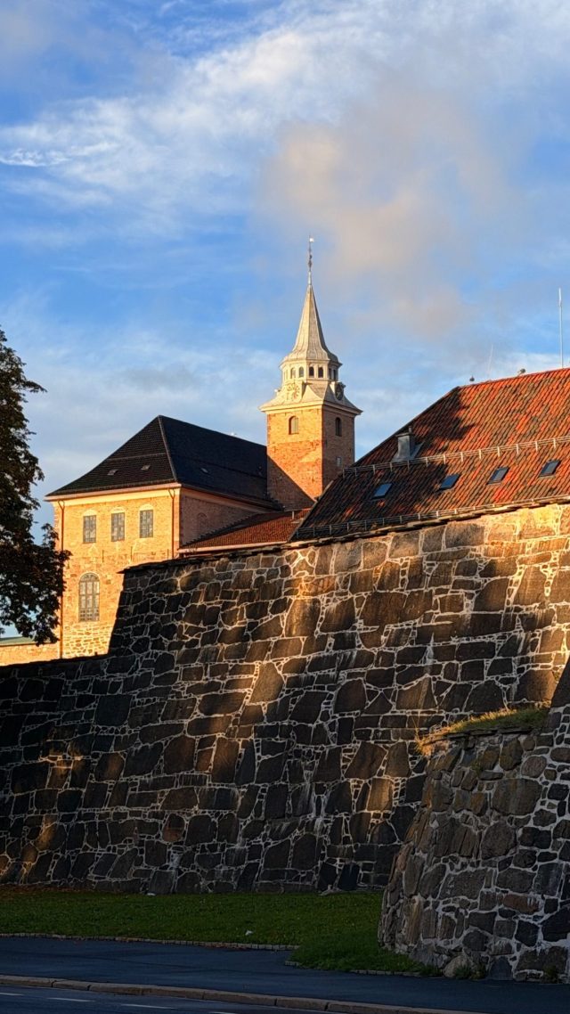 Hand-painted penguin stone #1524 hidden at Akershus Fortress Wall, Oslo, Norway (photo 5 of 5)