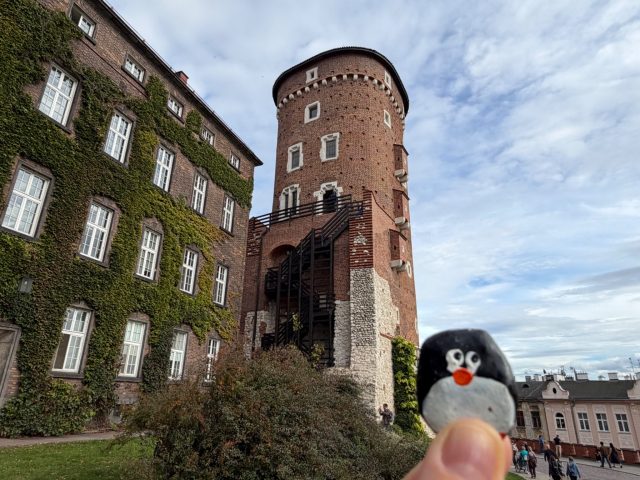Hand-painted penguin stone #1526 hidden at Baszta Sandomierska, Krakow, Poland (photo 3 of 5)
