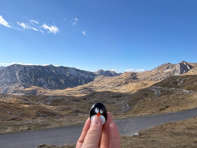 Hand-painted penguin stone #1528 hidden at Mountain Pass Sedlo, NP Durmitor, Montenegro (photo 3 of 5)