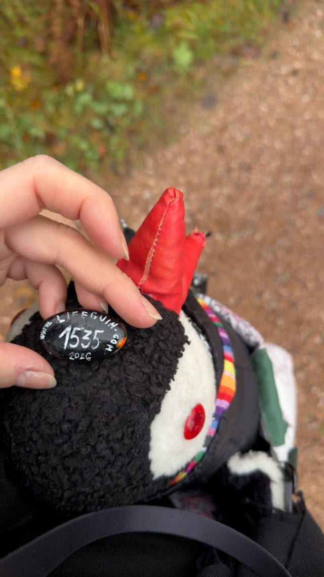 Hand-painted penguin stone #1535 hidden at Stone Wall in Nordmarka, Oslo, Norway (photo 3 of 5)