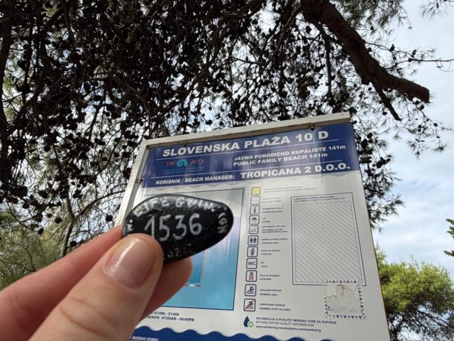 Hand-painted penguin stone #1536 hidden at Slovesnka Beach Promenade, Budva, Montenegro (photo 2 of 5)