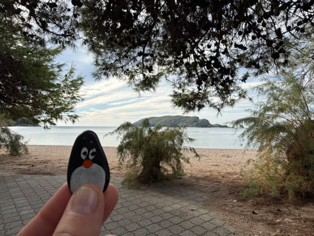 Hand-painted penguin stone #1536 hidden at Slovesnka Beach Promenade, Budva, Montenegro