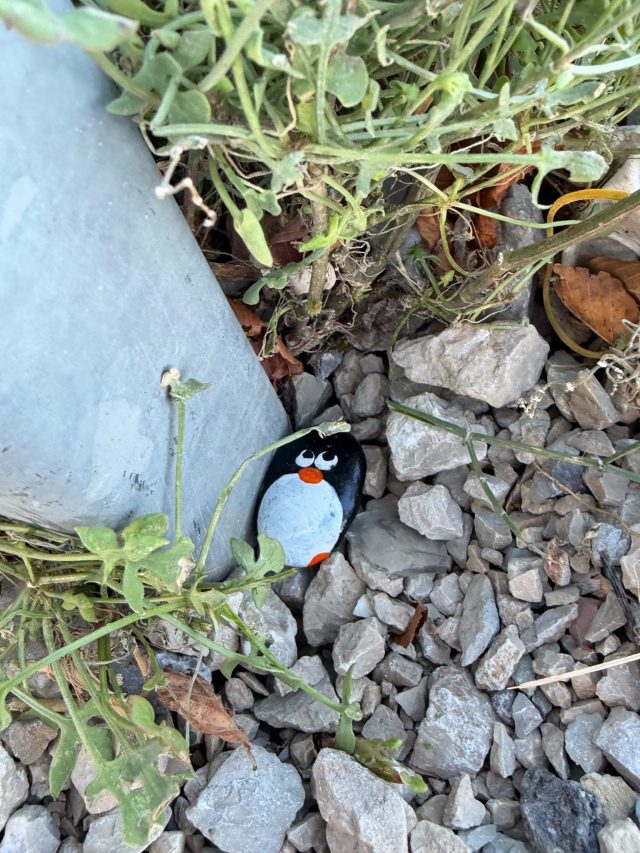 Hand-painted penguin stone #1538 hidden at Restaurant Nevjesta Jadrana, Cetinje, Montenegro (photo 3 of 5)