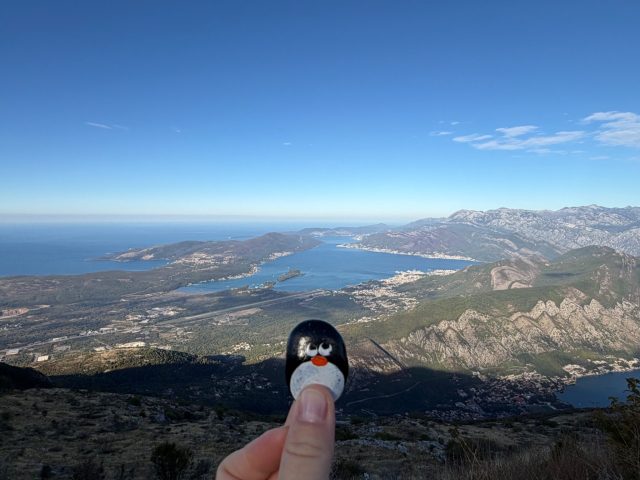Hand-painted penguin stone #1538 hidden at Restaurant Nevjesta Jadrana, Cetinje, Montenegro
